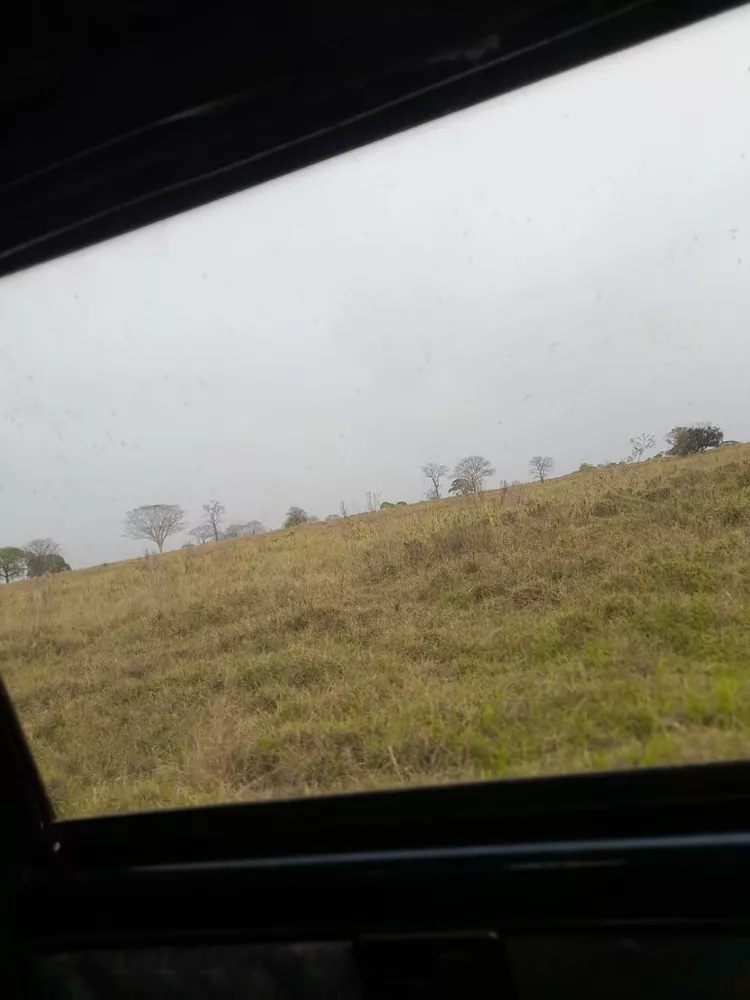 Fazenda, 102 m² - Foto 4