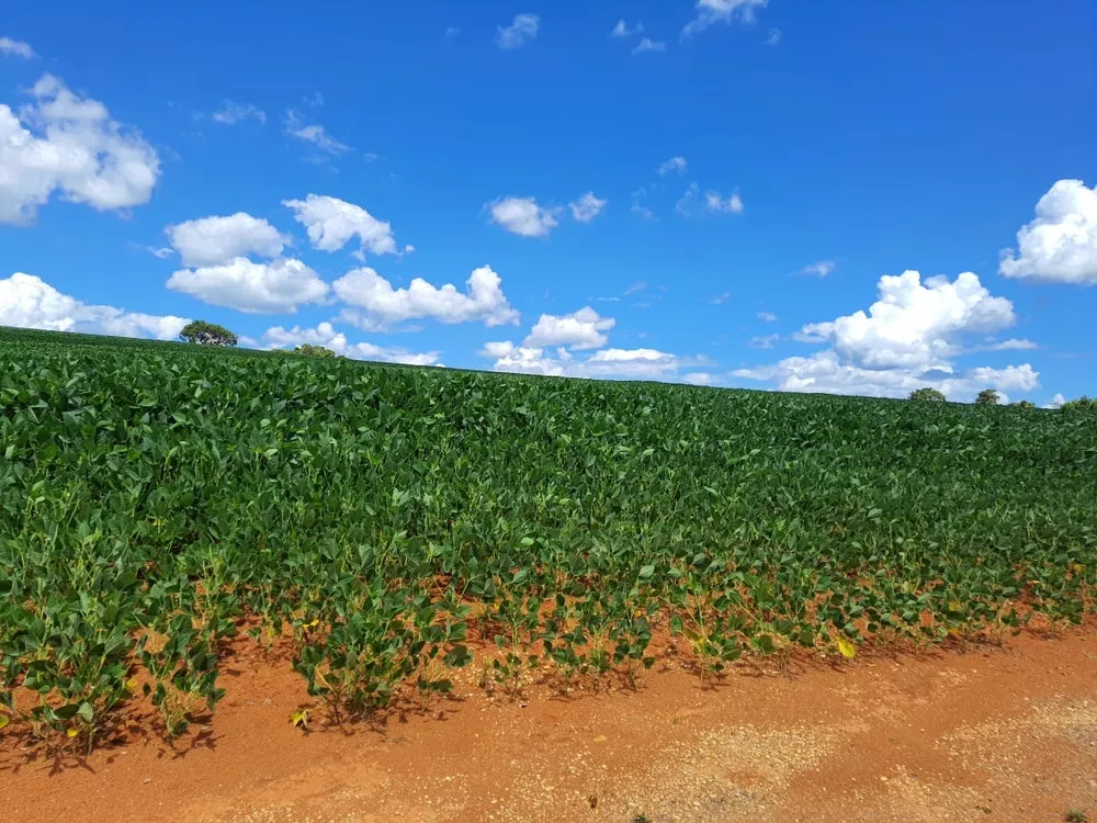 Sítio, 20 m² - Foto 4