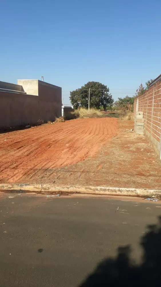 Terreno, 250 m² - Foto 2