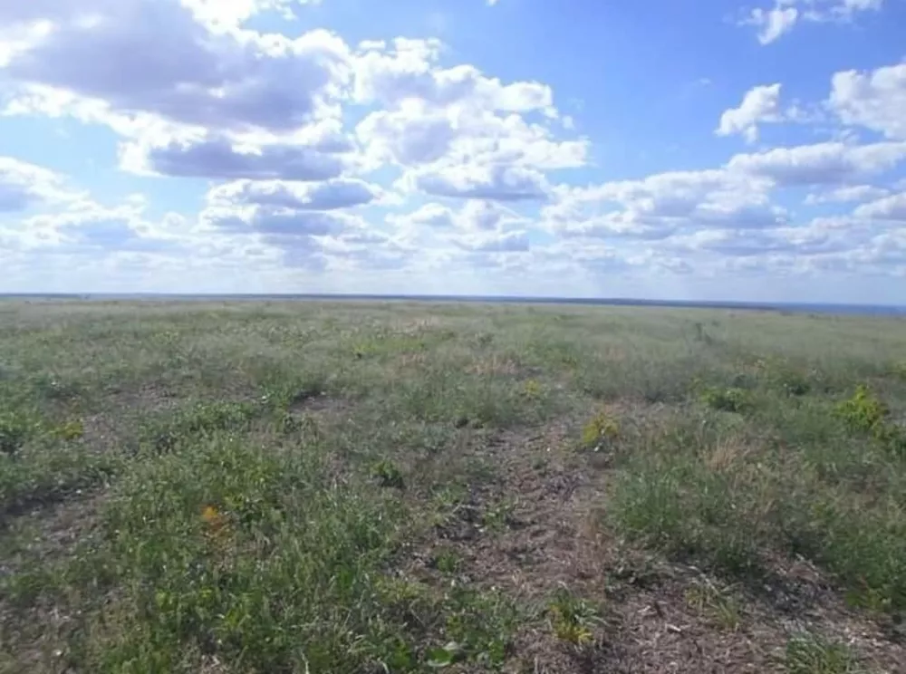 Fazenda, 536 m² - Foto 2