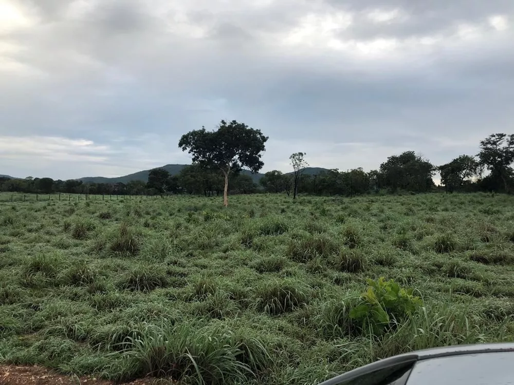 Fazenda, 1074 m² - Foto 4