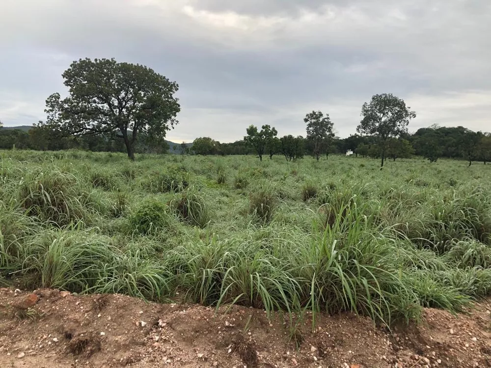 Fazenda, 1074 m² - Foto 2