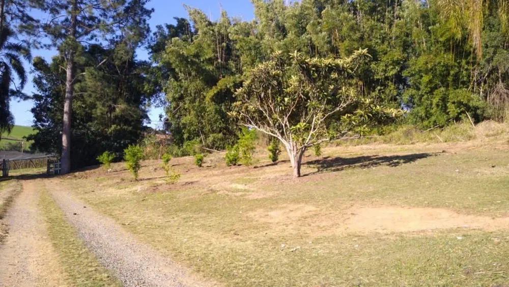 Sítio, 4 m² - Foto 4