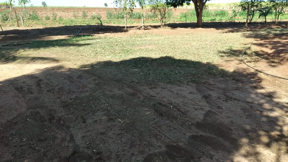 Sítio, 2 m² - Foto 3