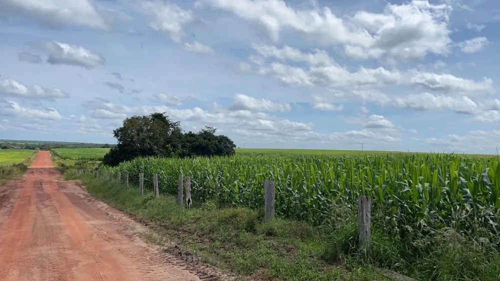 Fazenda, 7024 m² - Foto 2