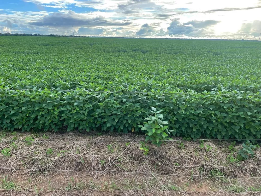 Fazenda, 7024 m² - Foto 3
