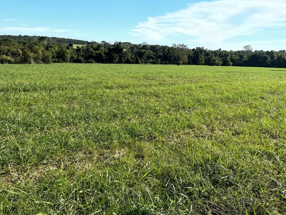 Fazenda, 7024 m² - Foto 6