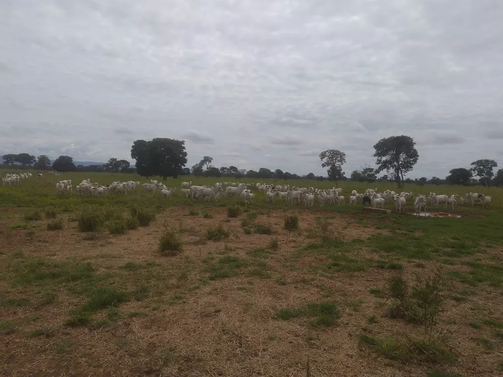 Fazenda, 1900 m² - Foto 1