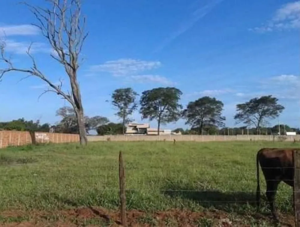 Loja-Salão, 4000 m² - Foto 3