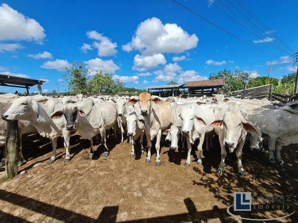 Fazenda, 101 m² - Foto 13