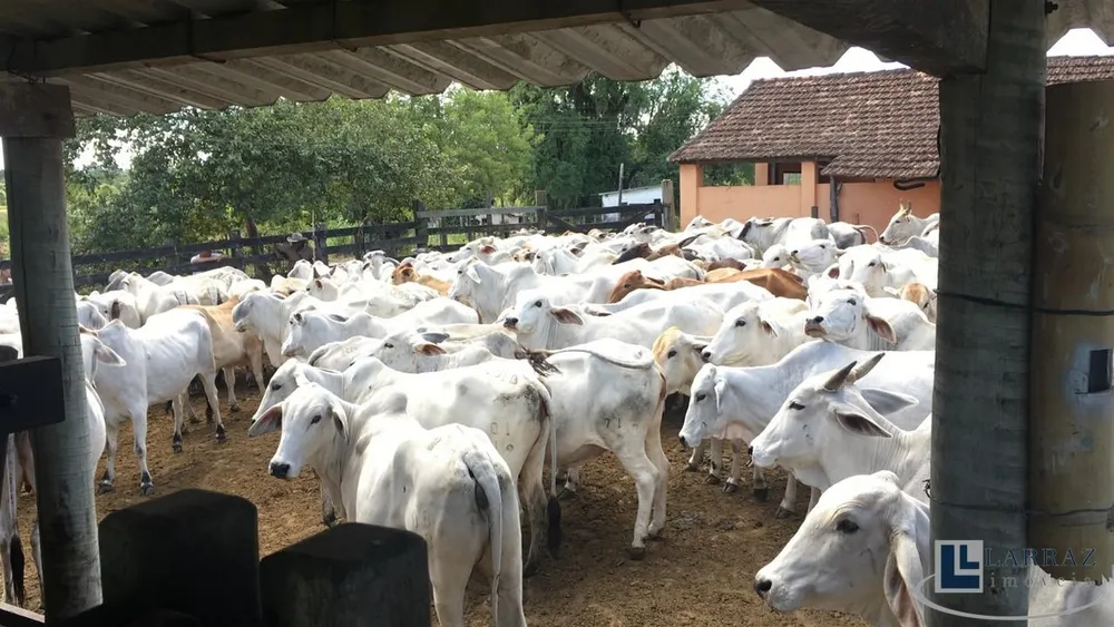 Fazenda, 101 m² - Foto 4