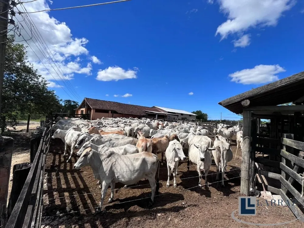 Fazenda, 101 m² - Foto 5