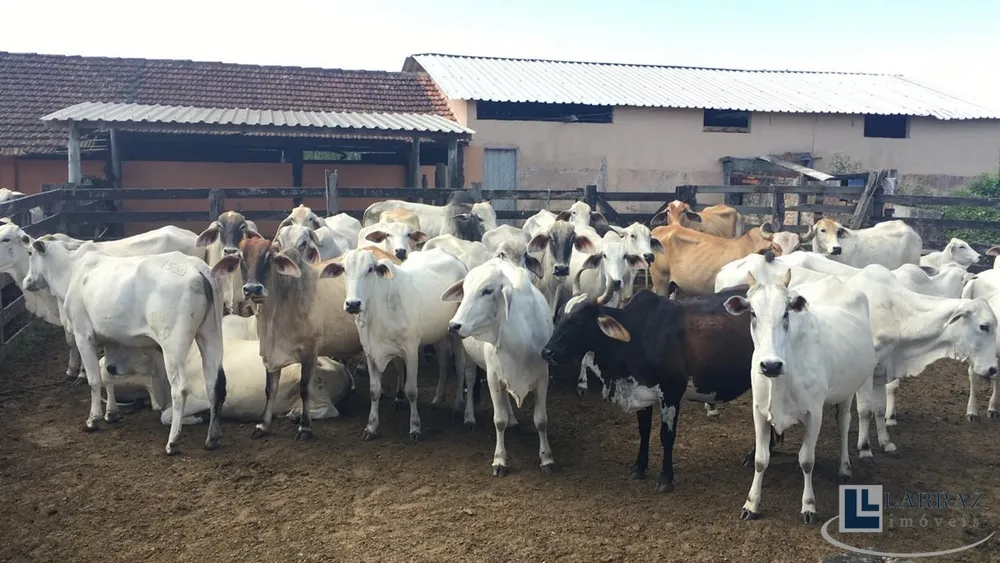 Fazenda, 101 m² - Foto 3