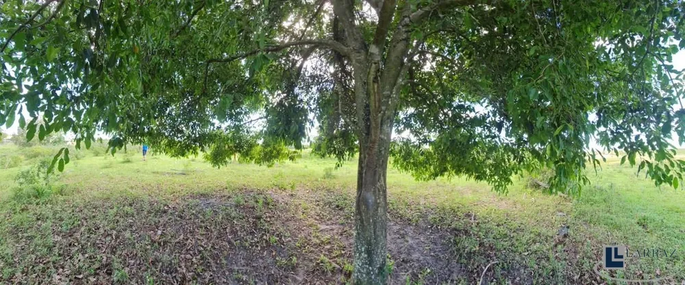 Fazenda, 101 m² - Foto 54