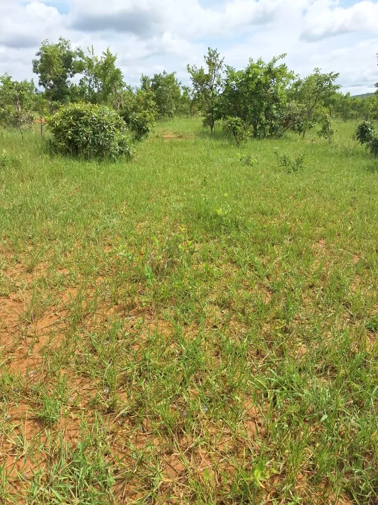 Fazenda, 392 m² - Foto 1