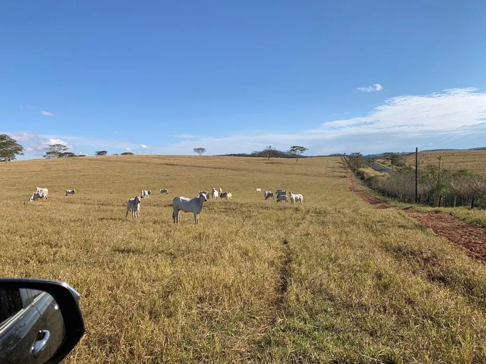 Fazenda, 125 m² - Foto 4