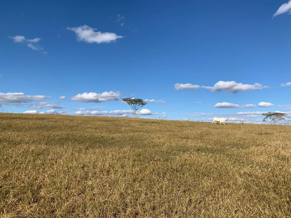 Fazenda, 125 m² - Foto 4