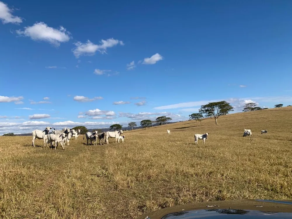 Fazenda, 125 m² - Foto 2
