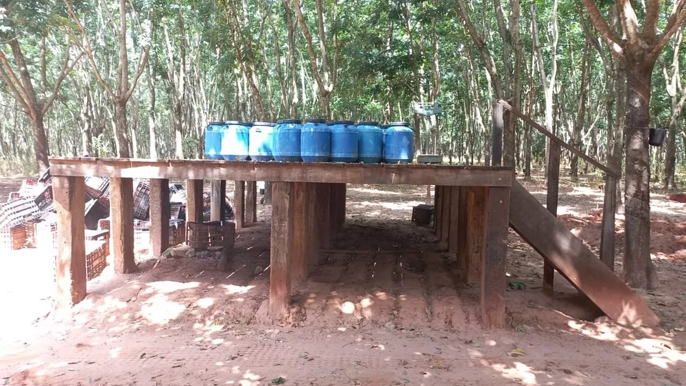 Sítio, 24 m² - Foto 2