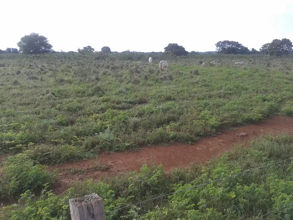 Fazenda, 818 m² - Foto 4