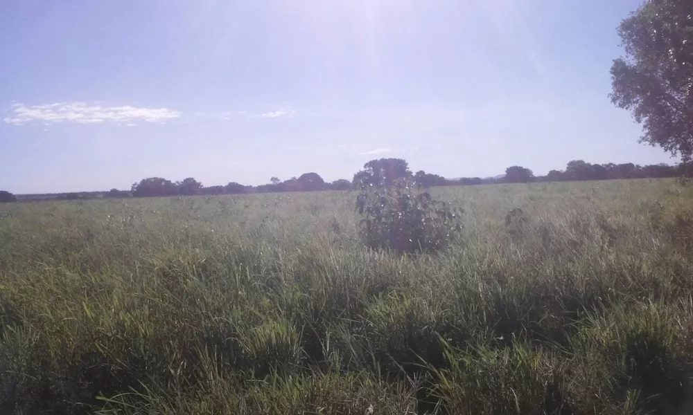 Fazenda, 818 m² - Foto 2