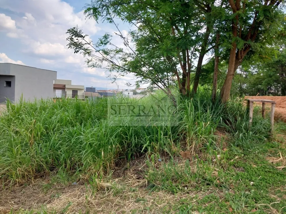Terreno, 250 m² - Foto 1