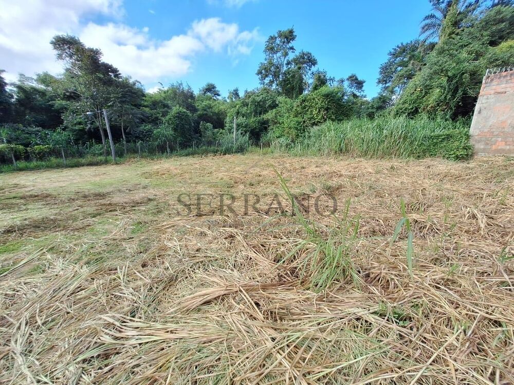 Loteamento e Condomínio, 816 m² - Foto 3