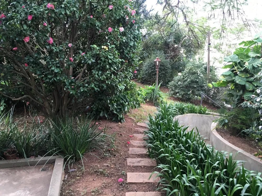 Casa, 5 quartos, 295 m² - Foto 20