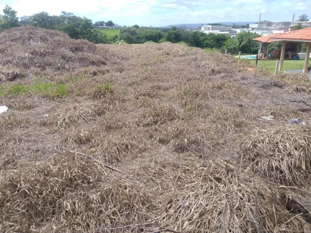 Terreno, 1690 m² - Foto 3
