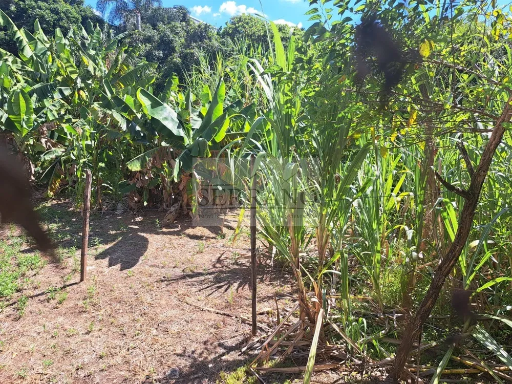 Terreno, 1946 m² - Foto 7