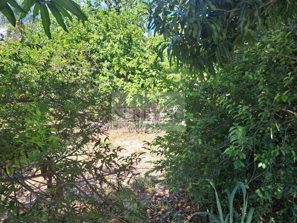 Terreno, 1946 m² - Foto 2