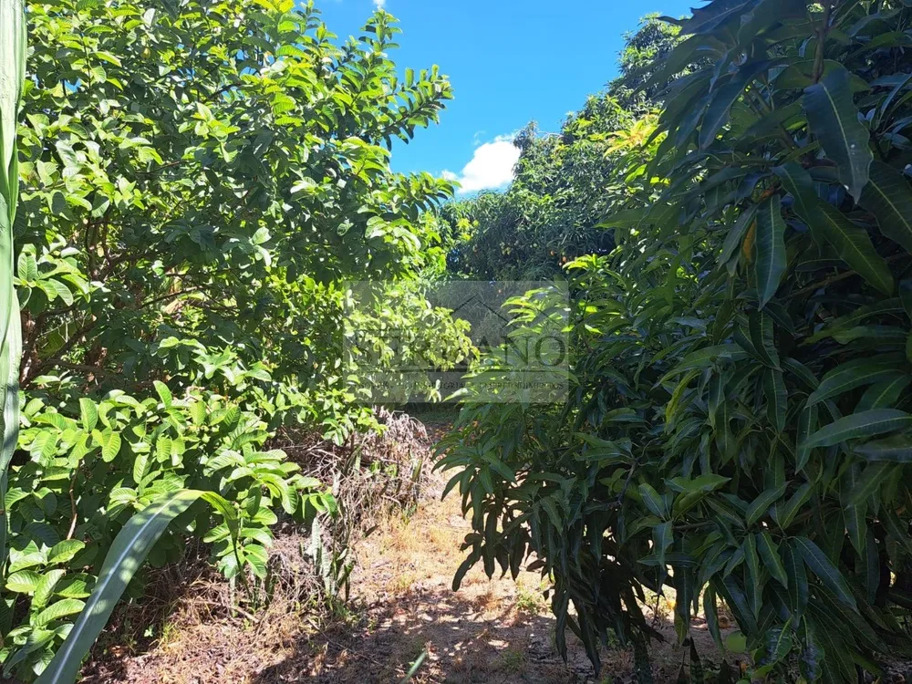 Terreno, 1946 m² - Foto 5