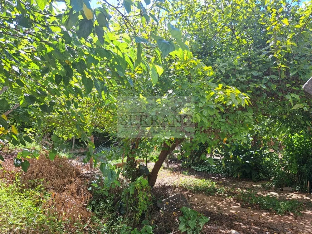 Terreno, 1946 m² - Foto 12