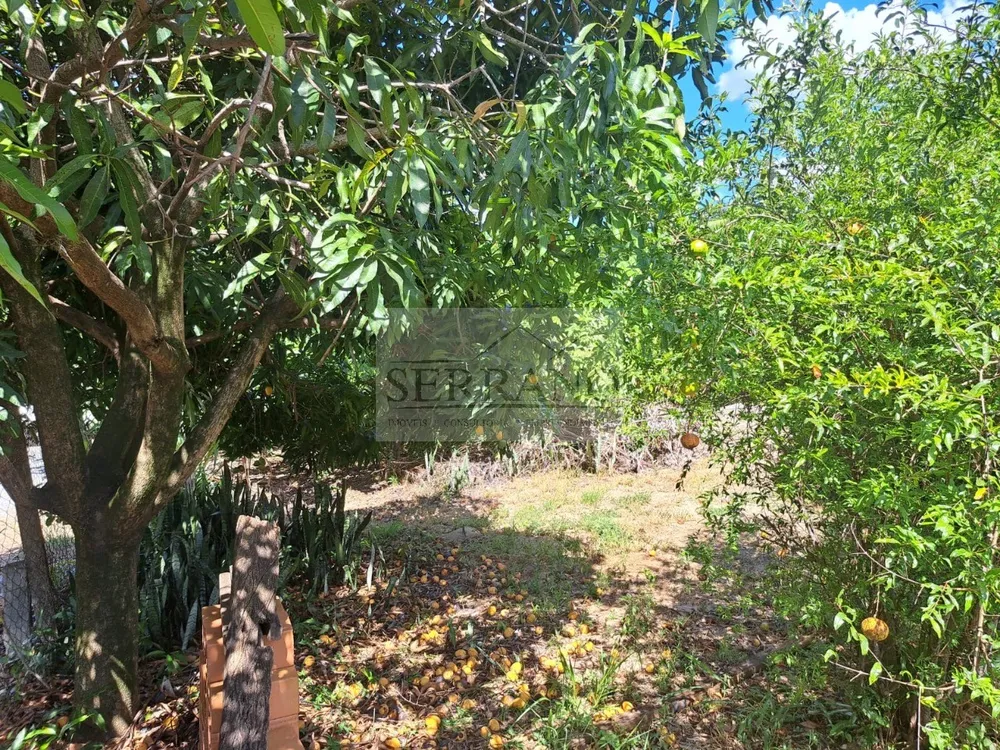 Terreno, 1946 m² - Foto 4