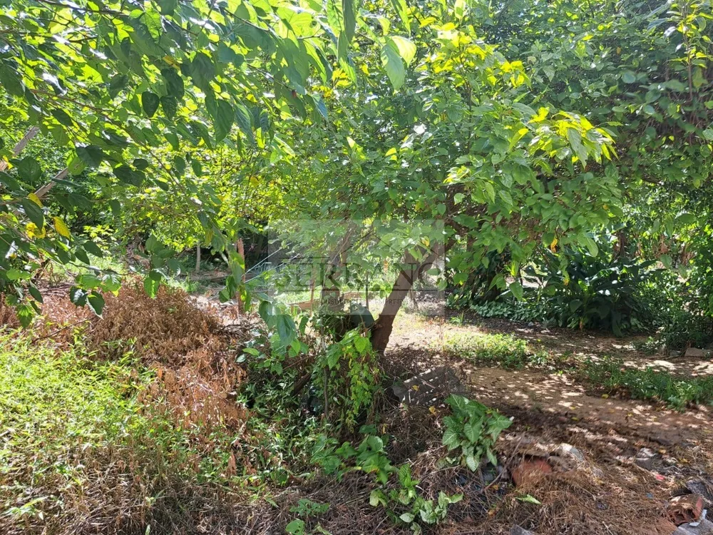 Terreno, 1946 m² - Foto 11