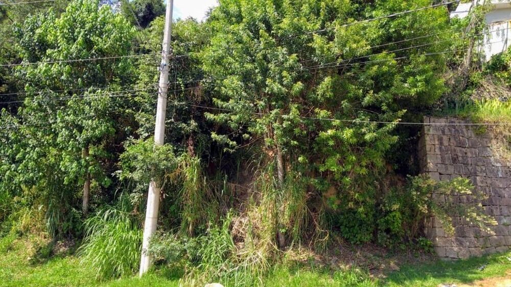 Loteamento e Condomínio, 1360 m² - Foto 6