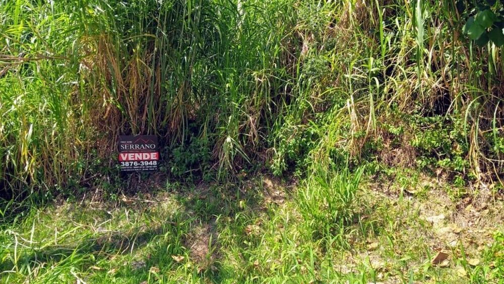 Loteamento e Condomínio, 1360 m² - Foto 5