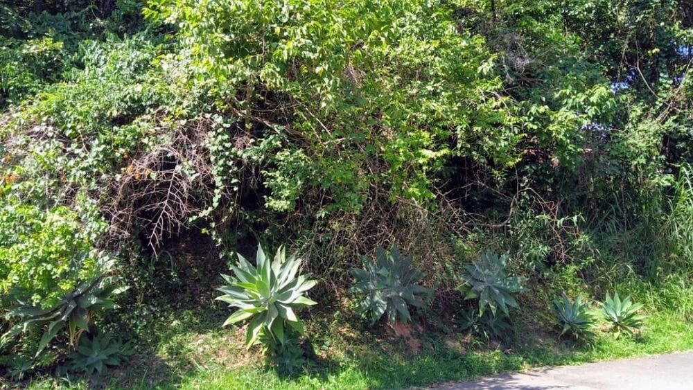 Loteamento e Condomínio, 1360 m² - Foto 2