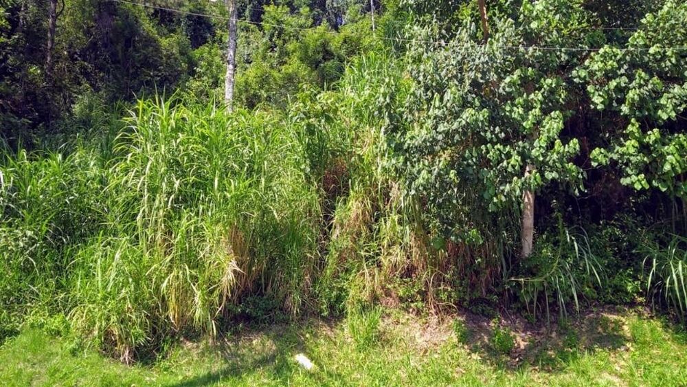 Loteamento e Condomínio, 1360 m² - Foto 3