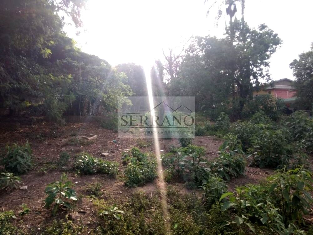 Terreno, 1200 m² - Foto 2