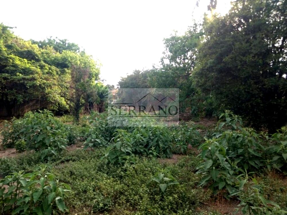 Terreno, 1200 m² - Foto 10