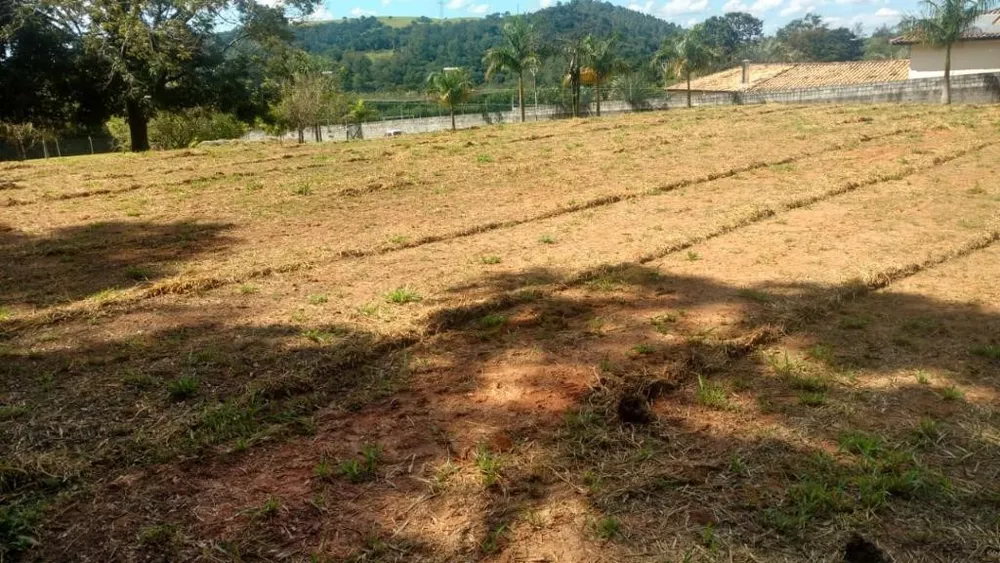 Terreno à venda, 5000m² - Foto 3