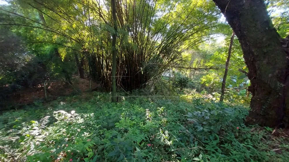 Chácara, 2 quartos - Foto 12