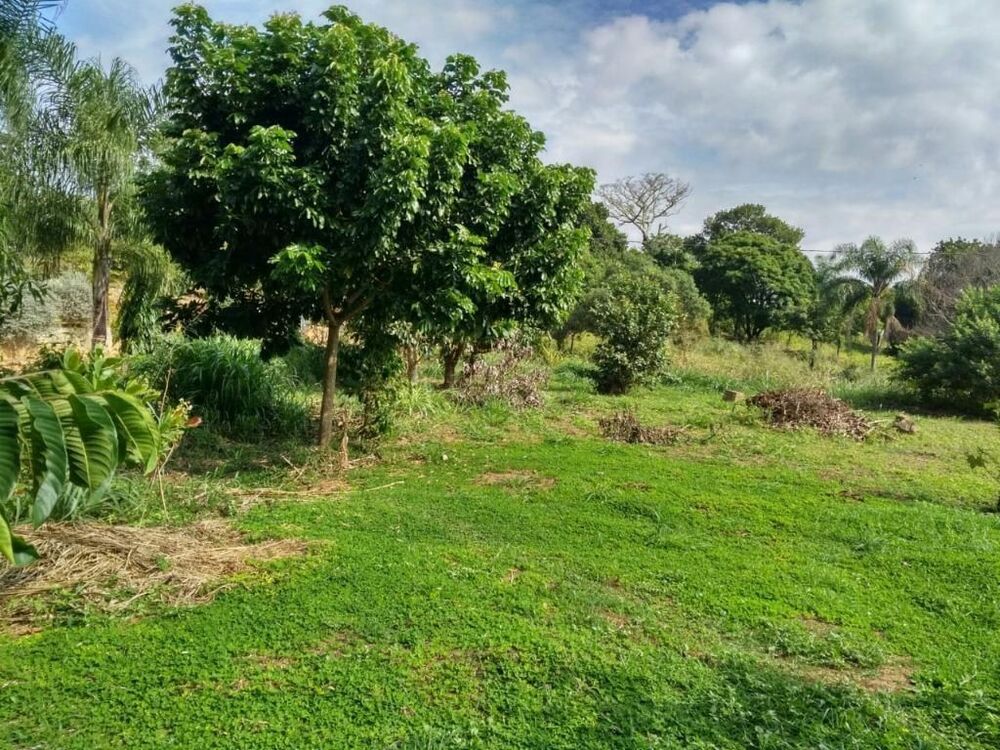 Terreno, 1000 m² - Foto 6