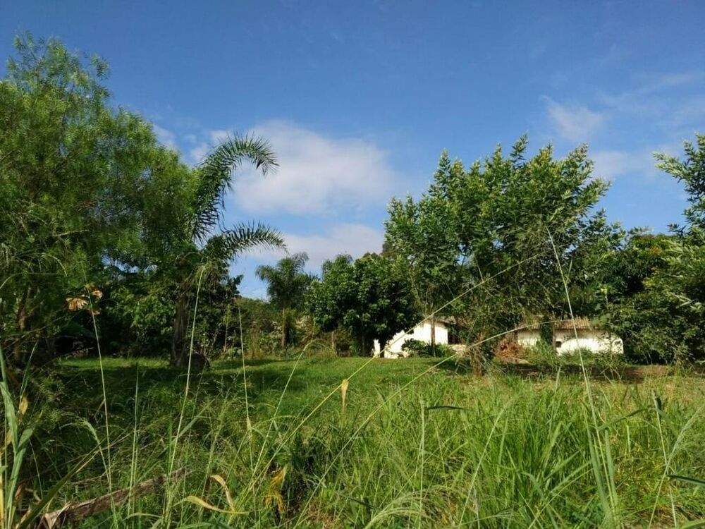 Terreno, 1000 m² - Foto 3