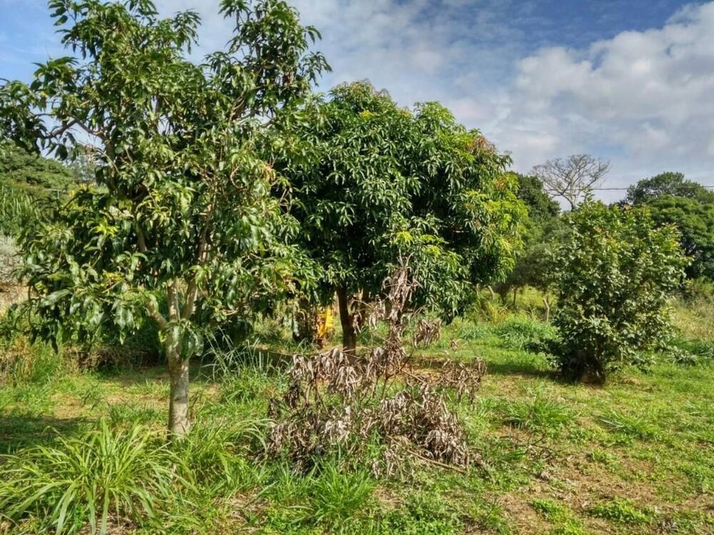 Terreno, 1000 m² - Foto 5