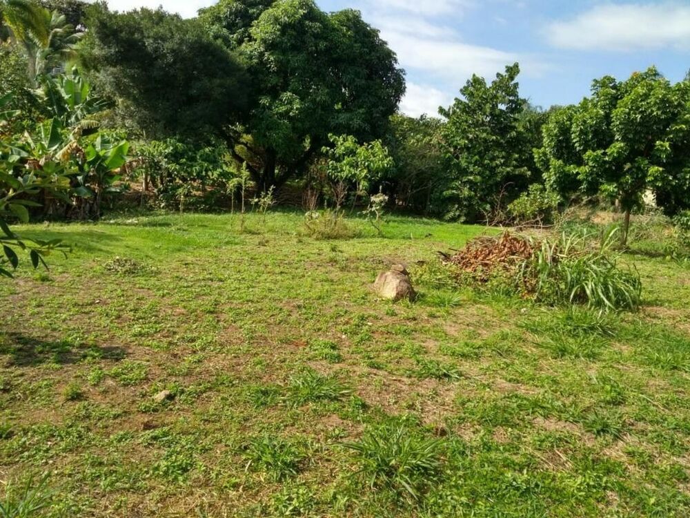 Terreno, 1000 m² - Foto 7