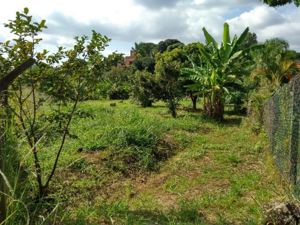 Terreno, 1000 m² - Foto 4
