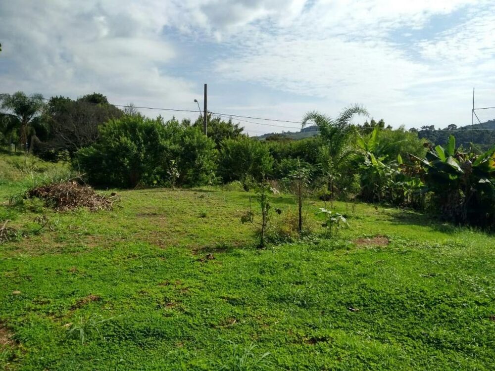 Terreno, 1000 m² - Foto 1