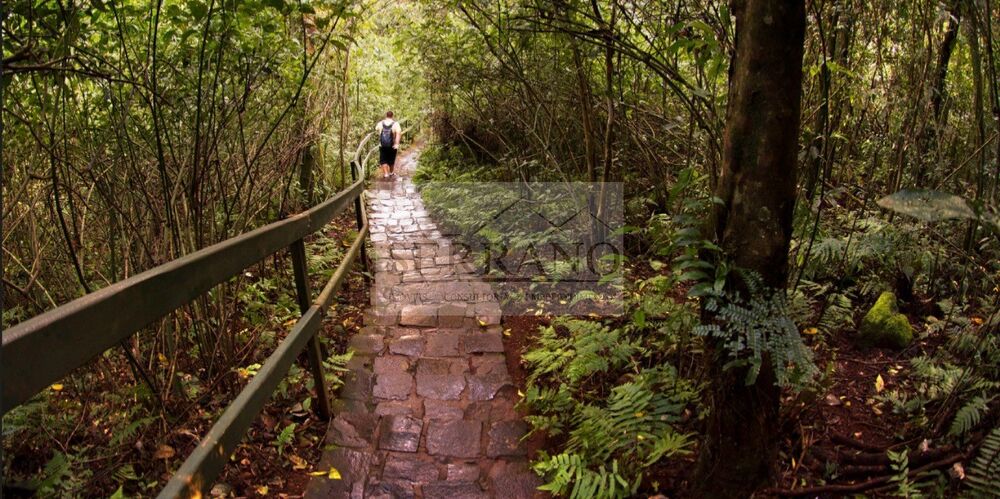 Loteamento e Condomínio, 523 m² - Foto 4